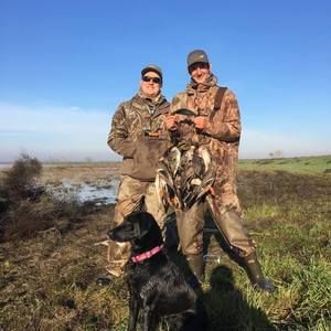 Meet your Posher, Ronnie